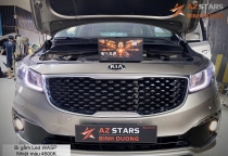 Lên Bi Gầm Led Wasp cho Kia Sedona