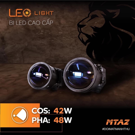 LED LEO LIGHT